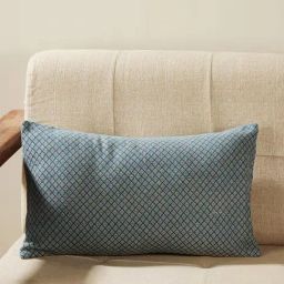 Fabindia Aqua Cotton 84 TC 245 GSM Magnolia Cushion Cover-image-111