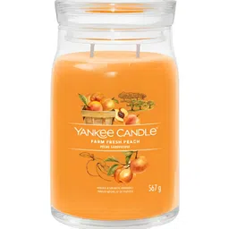 YANKEE CANDLE Orange 1 pieces Jar Candle-96