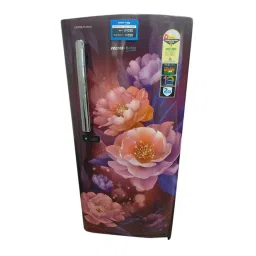 Voltas Beko 175 L 1 Star 2023 Model Single Door Refrigerator Peony Wine, RDC208E/S0PWE0M0000GD-image-71