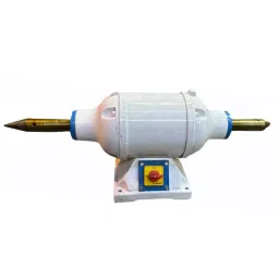 Rajdoot Bench Polisher Caste Iron Copper ½ HP 3 Phase, YP-2-image-10
