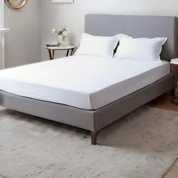 Home Prides Essenza 200 Off White Super King Pure Cotton Bedsheet Set 1.98 m x 1.83 m-image-34