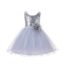 Wow Princess Net A-Line Dress-image-88
