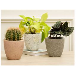 Purezento Marabelle Combo Terracotta Set of 3 Planters- Grey, Rose Gold, White-4