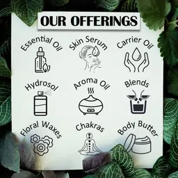 Deve Herbes Set Of 2 Pure Cactus Oil Cold Pressed100 ml Each image 5