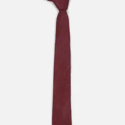 Van Heusen Men Printed Broad Tie image 3