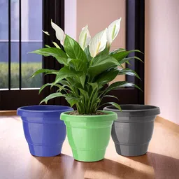 Kuber Industries Set Of 3 Plastic 2-Layer Planters-19