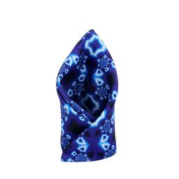 Alvaro Castagnino Men Blue Printed Pocket Square-image-45