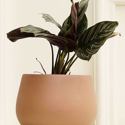 Purezento Mesa Terracotta Planter-Rose Gold-image-99