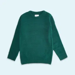 Pantaloons Junior Green Regular Fit Full Sleeves Sweater-picture-19