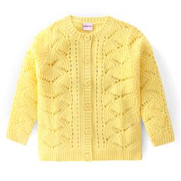 Babyhug Acrylic Knit Full Sleeves Sweater Cable Knit Design - Yellow-image-63