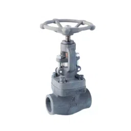 TS Flow 20 mm F-22 Socket Weld End Forge Globe Valve Class-800-image-54
