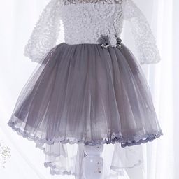 Ministitch Three Fourth Sleeves Floral Corsage Applique Bottom Lace Detailed Tulle Party Dress - Grey-image-56