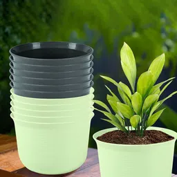 Kuber Industries Green & Grey 12 Pieces Textured Planters With Plate-image-21