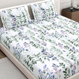 Home Ecstasy White Printed Pure Cotton 140TC Double King Bedsheet Set 2.20 m x 2.49 m-1