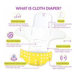 Sparkle Joy Washable & Reusable Cloth Diapers Combo Pack of 4 Freesize With 4 organic cotton Grey inserts (Multicolour) image 5