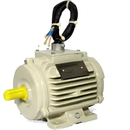 CG Power Three Phase 3 HP 2 Pole Foot Mounting IE2 Squirrel Cage Induction Motor, NS90L-image-85
