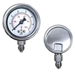 Japsin Instrumentation Economical Pressure Gauge 0 to 7 Bar Range 50 mm (2 inch) Dial Size, JIPL-EPG-50MM-B1-image-83