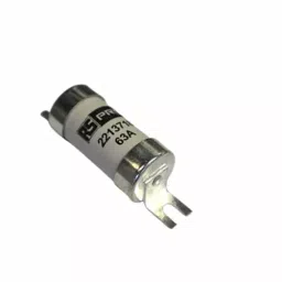 RS PRO Tag Fuse 63A, 690 V AC, Model No 2213718-image-8