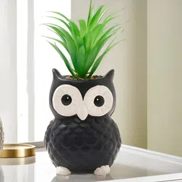 The Better Home Green Artificial Pineapple Leaves Plant With Pot-57