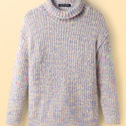 Pine Kids Knit Full Sleeves Pullover Sweater With Cable Knit Design & Turtle Neck - Multi Colour-picture-48