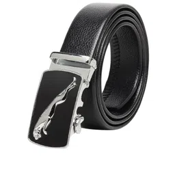 Niddleman Men Belt-image-80