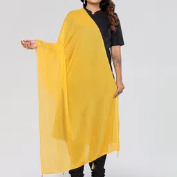 Moda Rapido Selection of 4 Striped Dupatta image 4