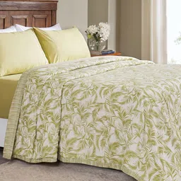 MASPAR Soft Texture & Floral Scents Printed 60 GSM Pure Cotton Dohar-image-62