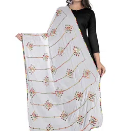 Kemza Geometric Embroidered Chiffon Dupatta With Mirror Work-picture-8