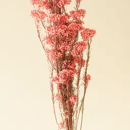 ArteCasa Pink & Brown Rice Artificial Flower-image-59