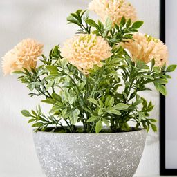 Home Centre Gloria Bloom Artificial Chrysthemum Flowers In Paper Mache Pot-image-23