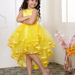 Toy Balloon kids Girls Net Fit & Flare Dress-picture-29