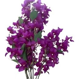 Nutts Purple 2 Pieces Bougainvillea Artificial Flower-image-91