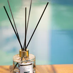 SOUL & SCENTS Transparent Ocean Clean Reed Aroma Oil Diffuser 120 ml-21