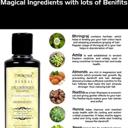 DRONTIKA Set Of 2 Herbal Natural Amla Bhringraj Shampoo- 210 ml Each image 4