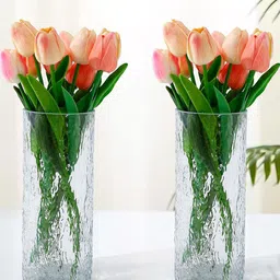 Ekhasa 2-Pcs Transparent Glass Vases-0
