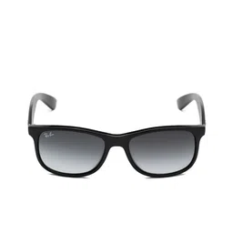 Ray-Ban Unisex Rectangular Sunglasses 0RB4202 image 4