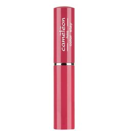 Cameleon Original Paris Color Stay Non Transfer Matte Lipstick -6ml -Matte Violet-31