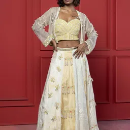 GloballyRonakRBafna Embroidered Beads And Stones Ready To Wear Lehenga Choli-picture-19