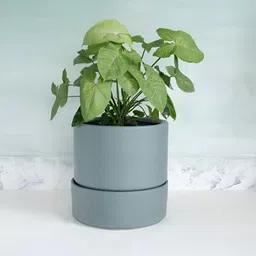 FREEDOM TREE Nested Grey Ceramic Planter With Tray-34