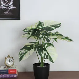 ARICK DECOR White 1 Pieces Monstera Deliciosa Artificial Plant With Pot-picture-16