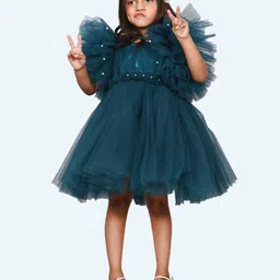 Modish Net Fit & Flare Dress-18