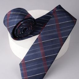 Louis Philippe Men Striped Broad Tie-picture-26