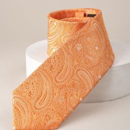 Louis Philippe Men Casual Broad Tie-image-33
