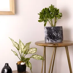 Greyt White & Black Textured Gardening Planters-picture-24