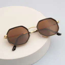 Ted Smith Unisex Brown Hexagon Metal Sunglasses With Polarised Lens-5