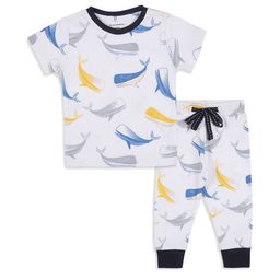 My Milestones Boys Printed Pure Cotton T-shirt With Shorts-image-22
