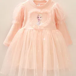 YK Girl Disney Princess Cartoon Character Print Ruffles Tulle Fit & Flare Dress-image-38