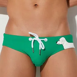 PANTEAZY Men Printed Basic Briefs LO-S01-FDG-G-S image 1