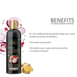 Desi Crew Set Of 2 Pro Vitamin B5 Onion Ginger Shampoo- 100 ml Each image 2