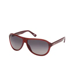 WEB EYEWEAR Unisex Aviator Sunglasses with UV Protected Lens WE0291 62 66B-picture-45